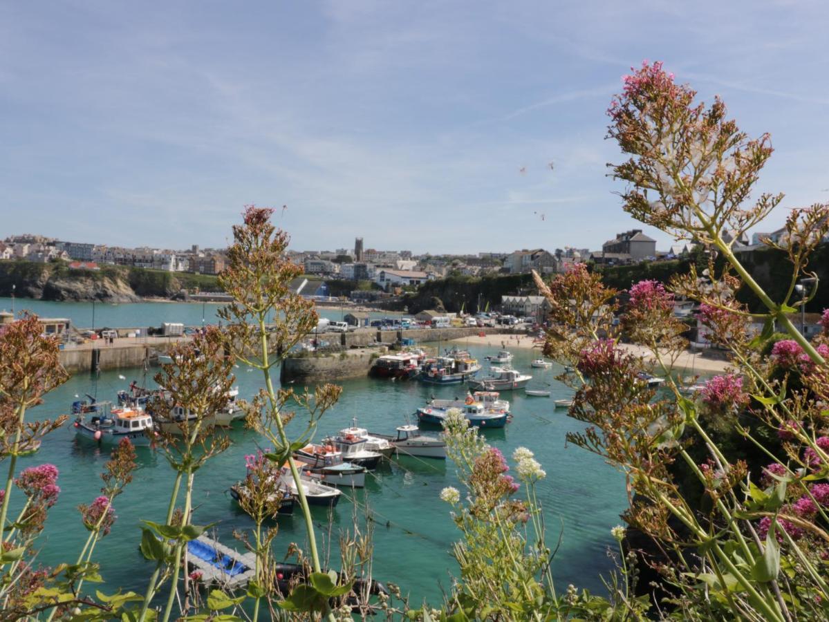 Apartamento 9 Headland Point New Quay Exterior foto